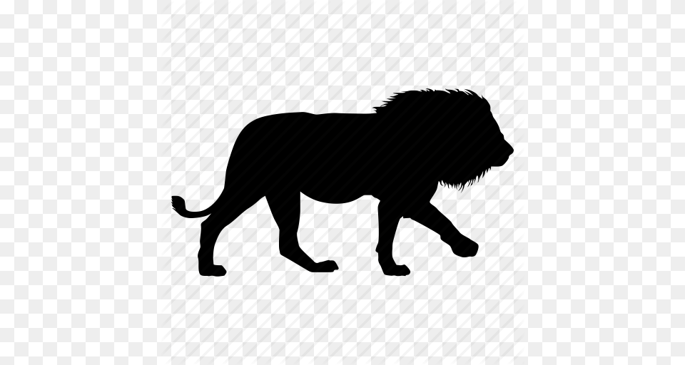 Leon Lion Icon, Silhouette, Animal, Bull, Mammal Png Image