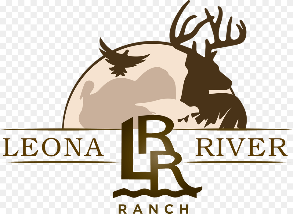 Leona River Ranch Elk, Animal, Deer, Mammal, Wildlife Png Image