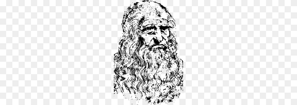 Leonardo Da Vinci Gray Png