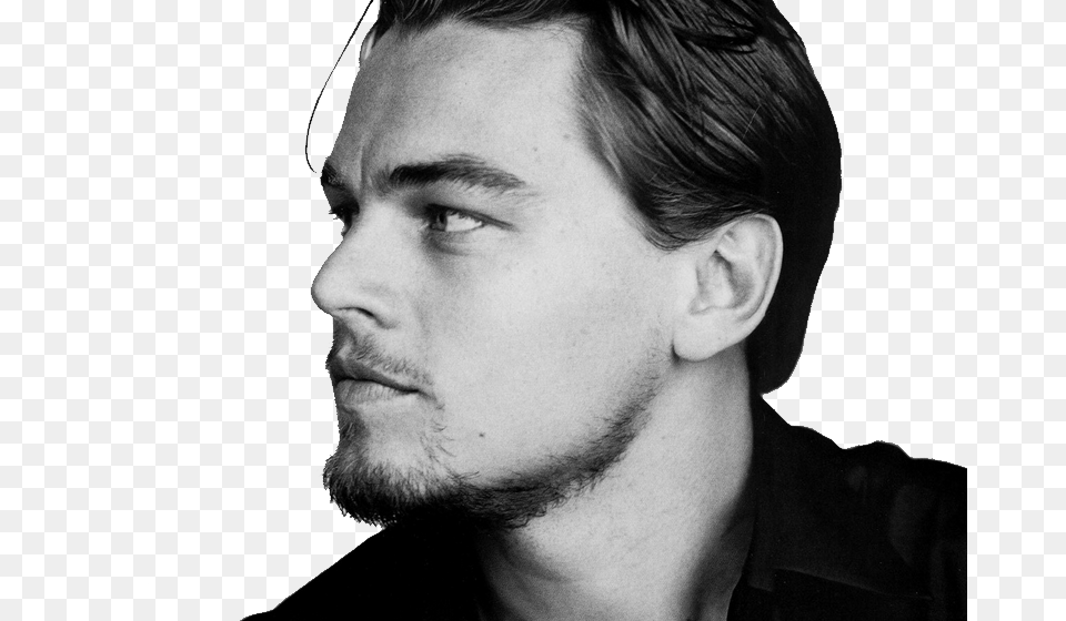 Leonardo Dicaprio, Adult, Photography, Person, Man Png
