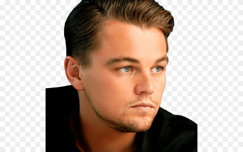 Leonardo Dicaprio, Adult, Photography, Person, Man Free Png Download