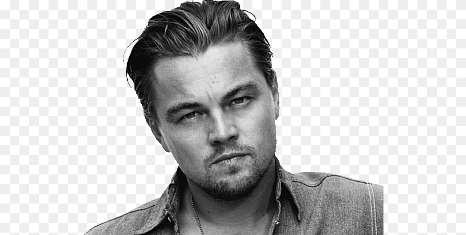 Leonardo Dicaprio, Portrait, Photography, Person, Neck Free Png