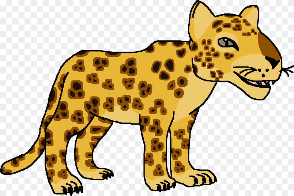 Leopard, Animal, Person, Wildlife, Baby Png Image