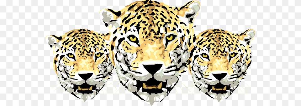 Leopard Animal, Cheetah, Mammal, Wildlife Png