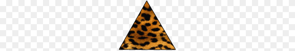 Leopard, Home Decor, Triangle, Rug Png Image