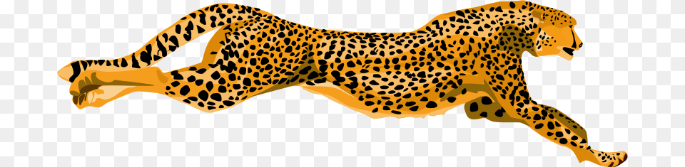 Leopard Cheetah, Animal, Mammal, Wildlife, Panther Free Transparent Png