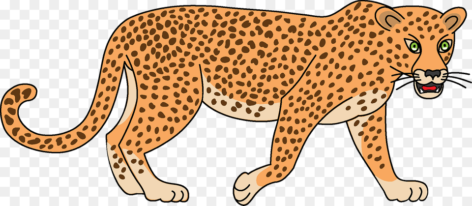 Leopard Clipart, Animal, Cheetah, Mammal, Wildlife Png