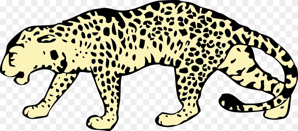 Leopard Clipart, Animal, Cheetah, Mammal, Wildlife Png