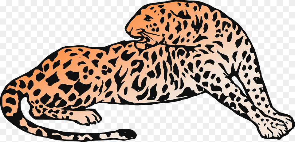Leopard Clipart, Animal, Cheetah, Mammal, Wildlife Free Transparent Png