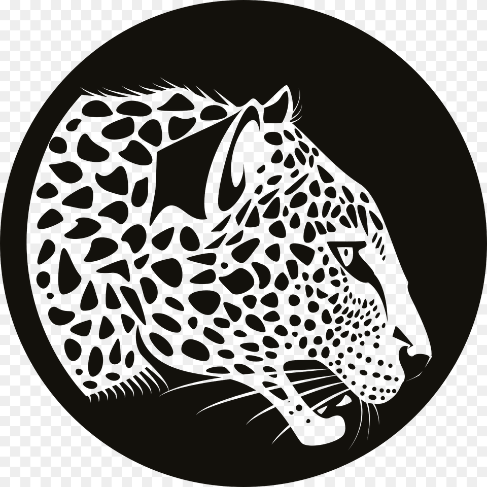 Leopard Clipart, Animal, Mammal, Panther, Wildlife Free Png Download