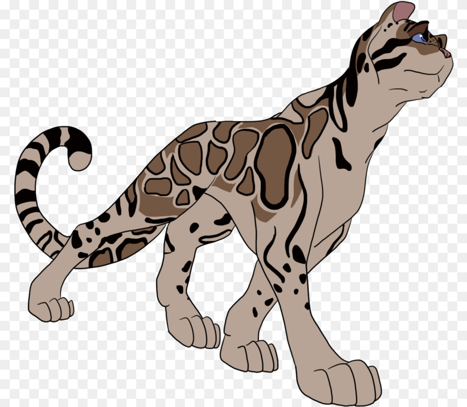 Leopard Clipart Face Picture Clouded Leopard Art, Animal, Cheetah, Mammal, Wildlife Free Png