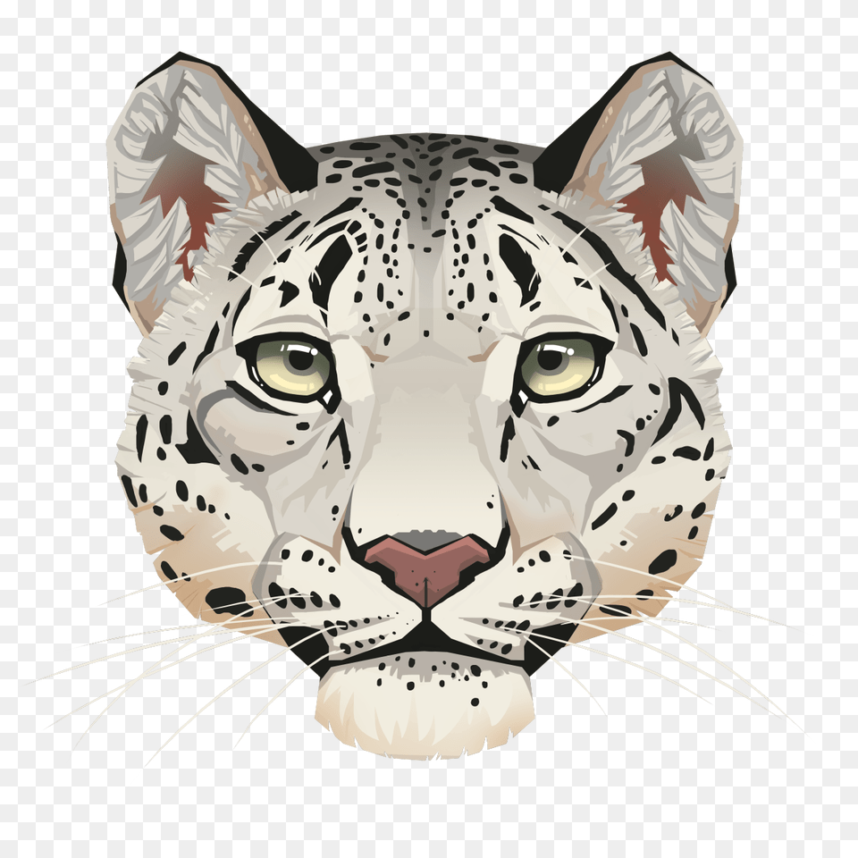 Leopard Face Background Image Arts, Animal, Mammal, Panther, Wildlife Png