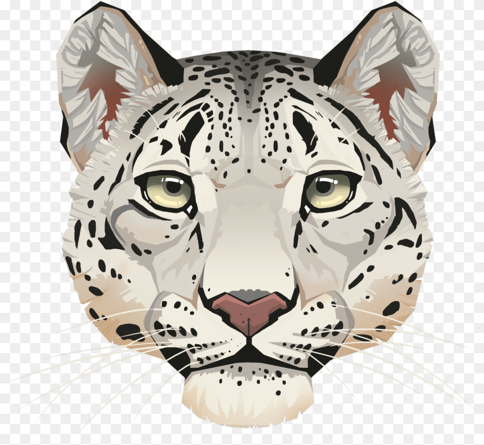 Leopard Face Background Image Snow Leopard Stickers, Animal, Mammal, Panther, Wildlife Free Png