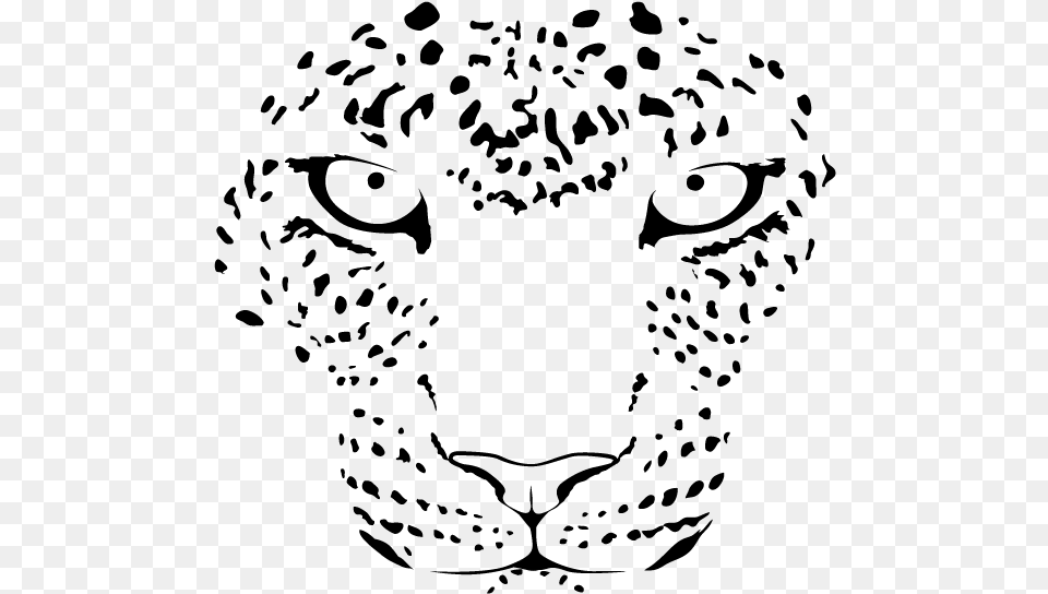 Leopard Face With Transparent Background, Gray Png