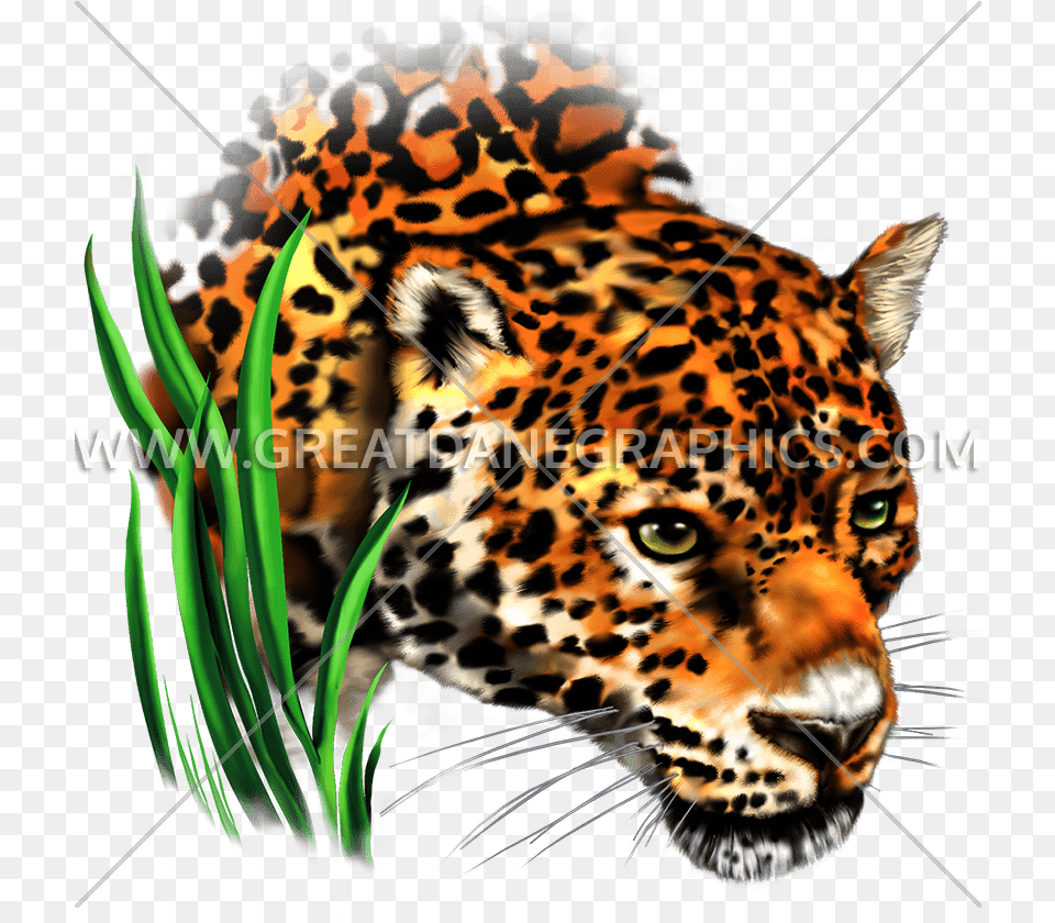 Leopard Football Cliparts Making Clip Art, Animal, Mammal, Panther, Wildlife Free Png Download