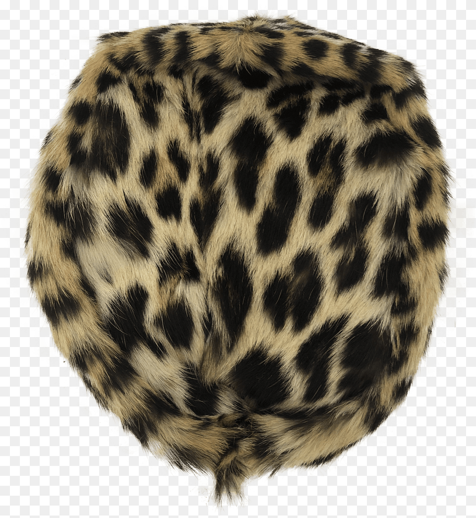 Leopard Fur Cap Animal Product Png Image