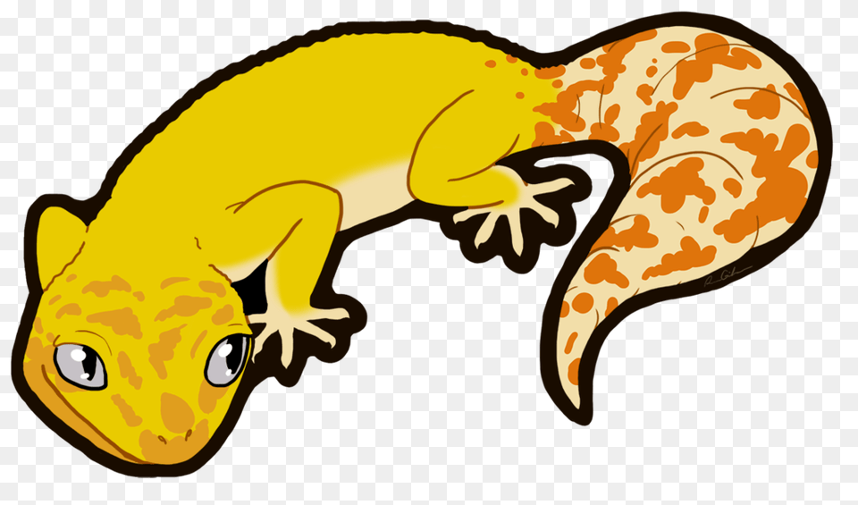 Leopard Gecko, Animal, Lizard, Reptile Free Png Download
