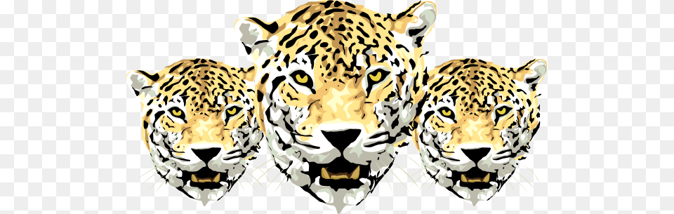 Leopard Heads Clip Art, Animal, Cheetah, Mammal, Wildlife Png