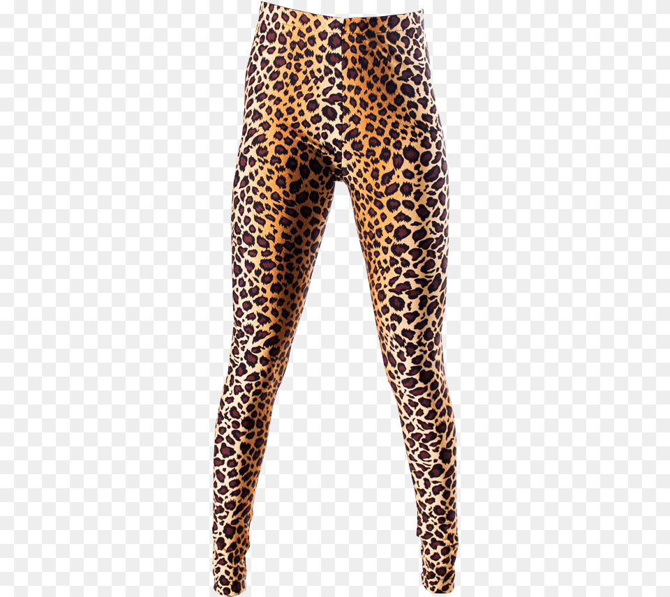 Leopard Print Leggings Background Leggings Adidas Background, Clothing, Hosiery, Tights, Pants Free Transparent Png