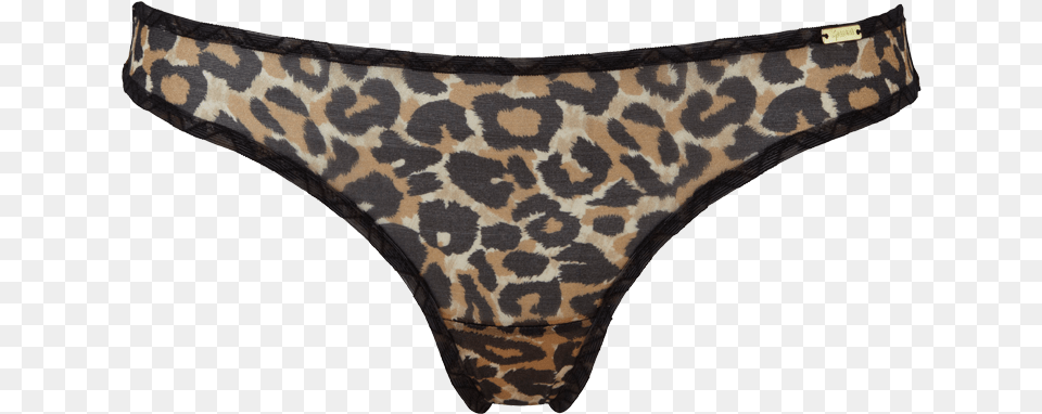 Leopard Print Thongs, Clothing, Lingerie, Panties, Thong Free Png Download