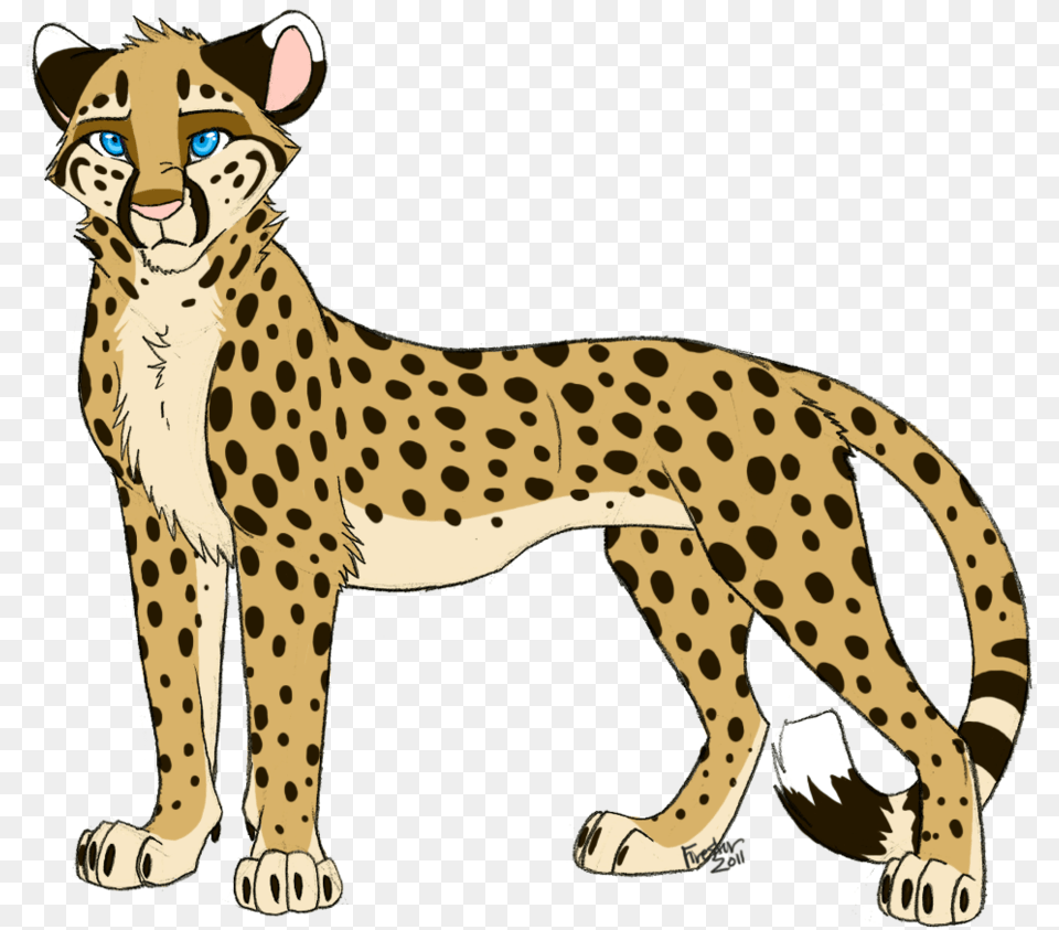 Leopard Print Transparent Leopard Print Cheetah Lion King, Animal, Mammal, Wildlife Free Png