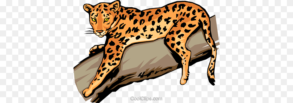 Leopard Vecteurs De Stock Et Clip Art Vectoriel, Animal, Cheetah, Mammal, Wildlife Free Png