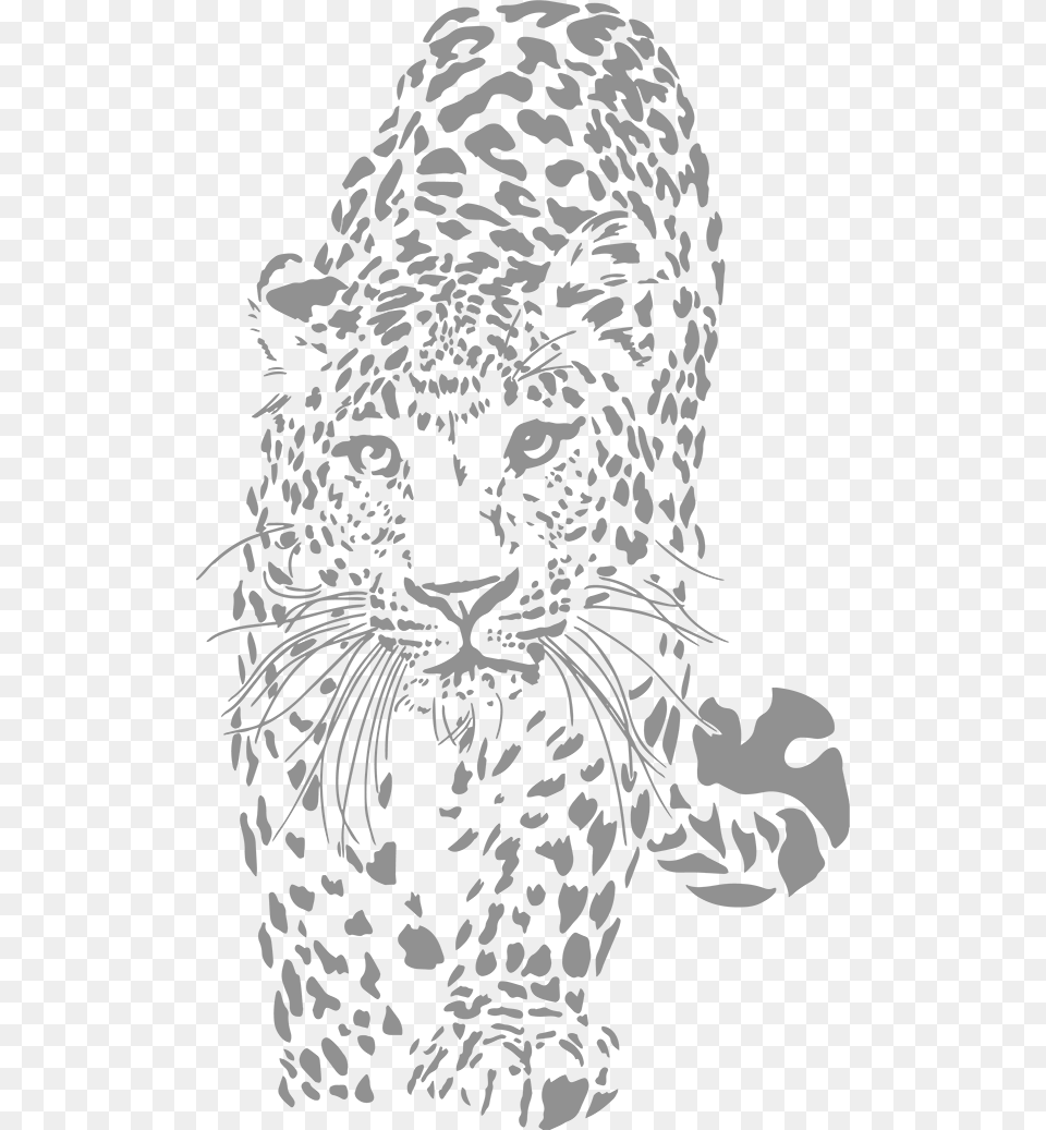 Leopard Websites Amp Graphic Design Leopard Black And White, Gray Png Image