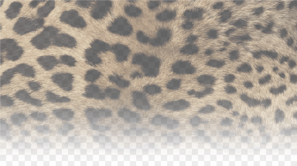 Leopardprint Animal Print, Mammal, Panther, Wildlife, Cheetah Free Png Download
