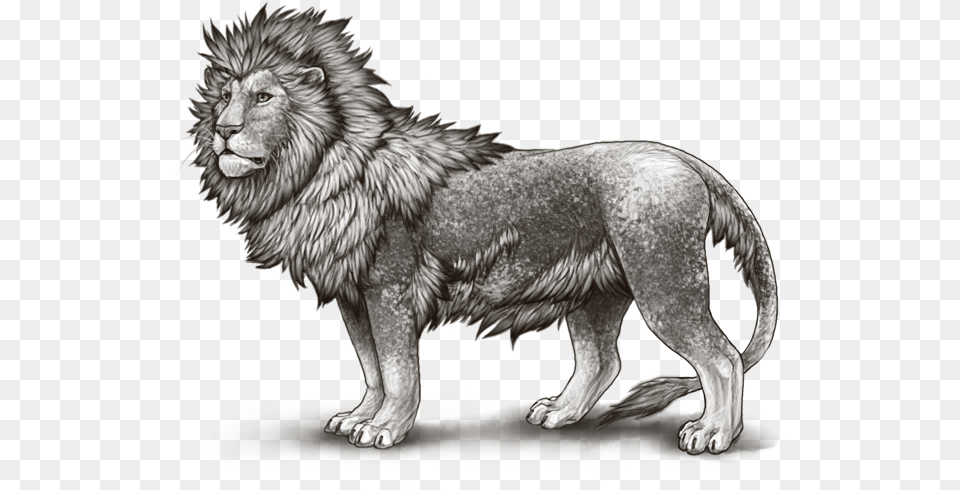 Leopon, Animal, Lion, Mammal, Wildlife Png