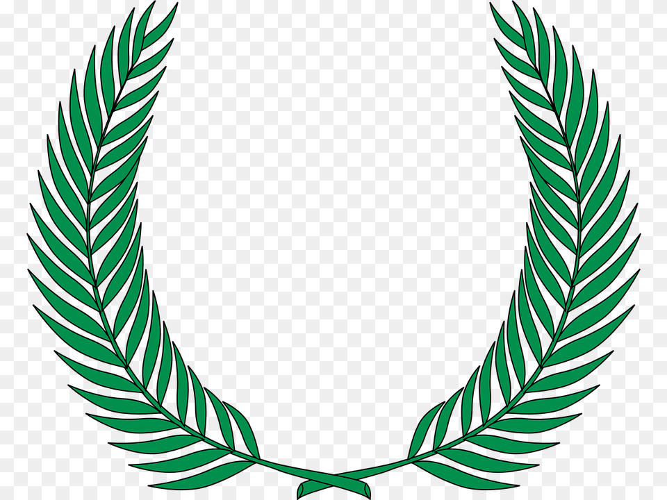 Leptosporangiate Fern Plant Clip Art Vector Greek Leaves, Emblem, Symbol, Leaf Png