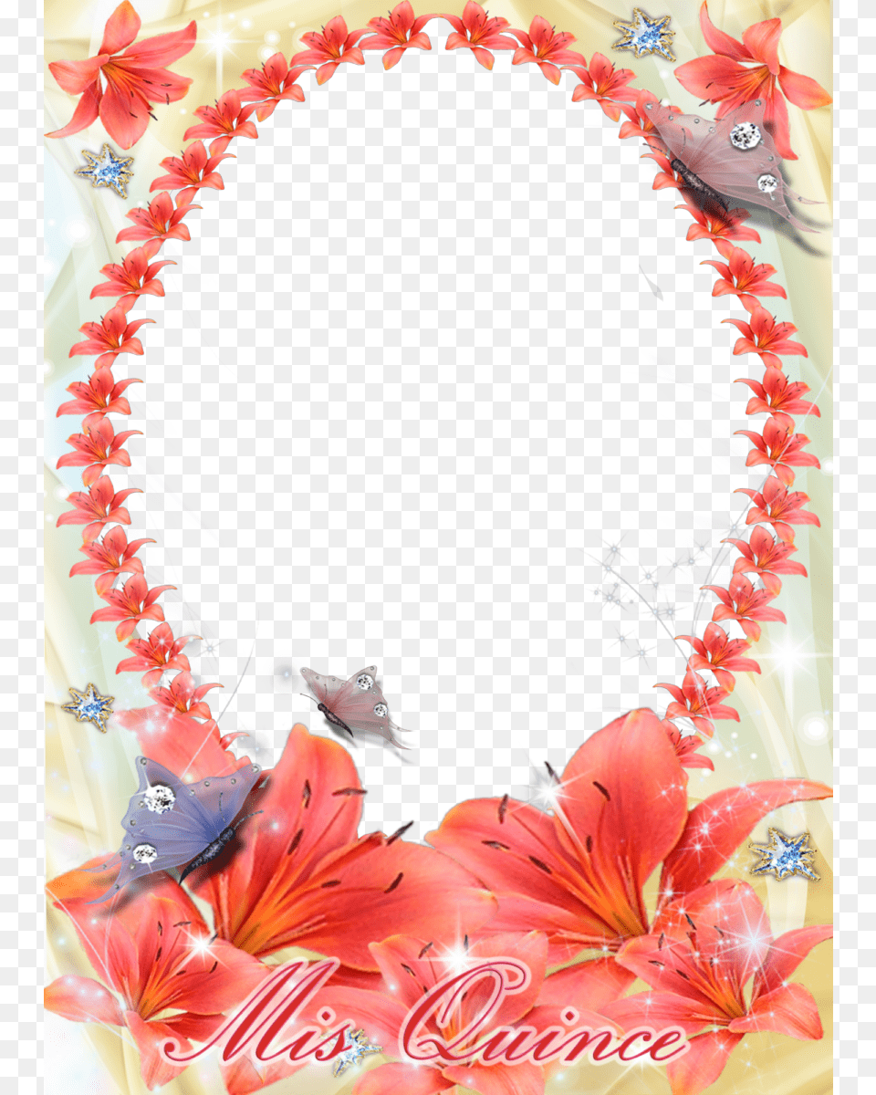 Les Cadres Divers Marcos Para, Flower, Plant, Flower Arrangement, Petal Free Transparent Png