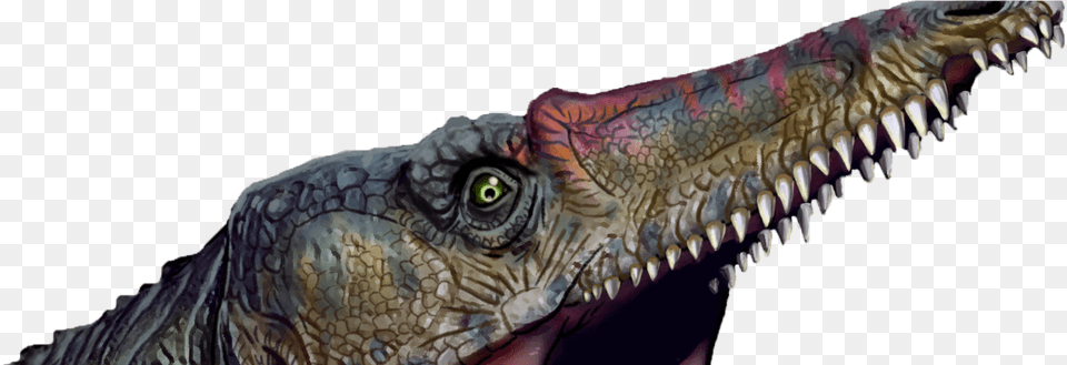 Lesothosaurus, Animal, Dinosaur, Reptile Free Png Download