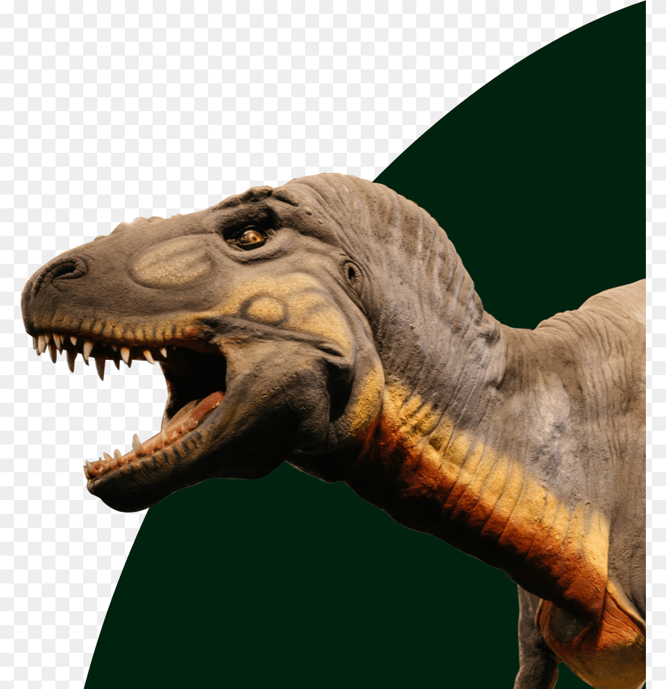 Lesothosaurus, Animal, Dinosaur, Reptile, T-rex Free Png Download