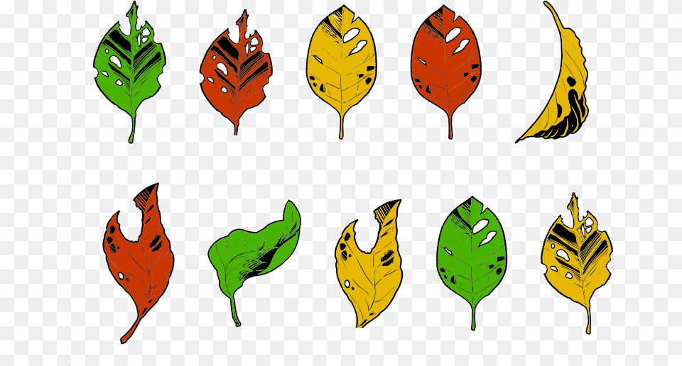 Less Than Perfect Autumn Leaves, Leaf, Plant, Adult, Male Free Png
