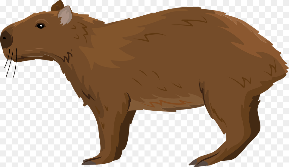 Lesser Capybara Clipart, Animal, Mammal, Pig Free Png Download