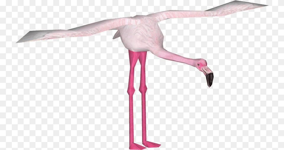 Lesser Flamingo Spoonbill, Animal, Bird Free Png Download