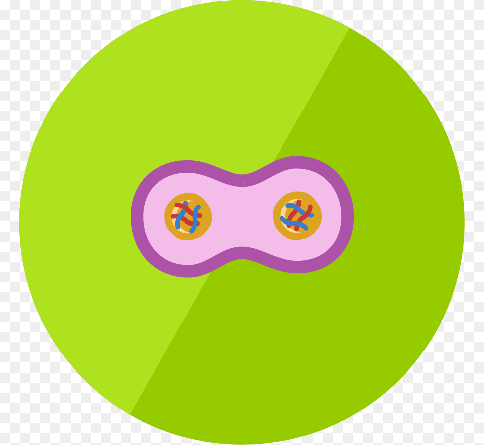 Lesson Icon Animal Cell Icon, Disk, Purple Png Image