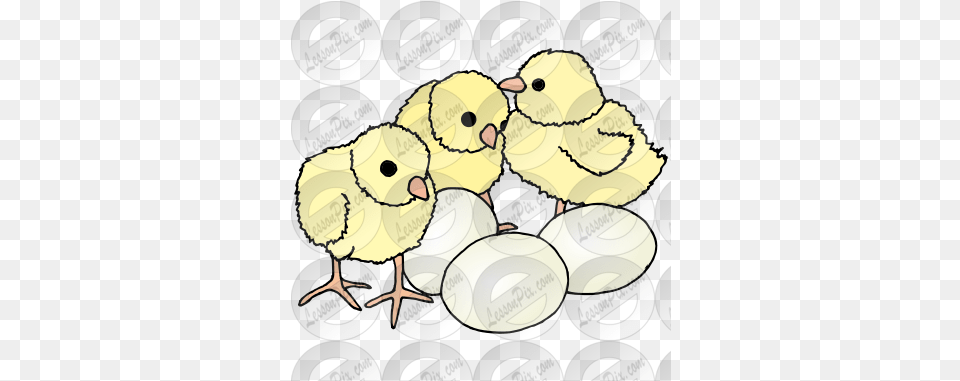 Lessonpix Mobile Chicken, Animal, Bird, Fowl, Poultry Free Transparent Png