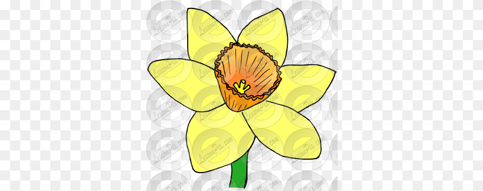 Lessonpix Mobile Water Lilies, Daffodil, Flower, Plant, Head Png