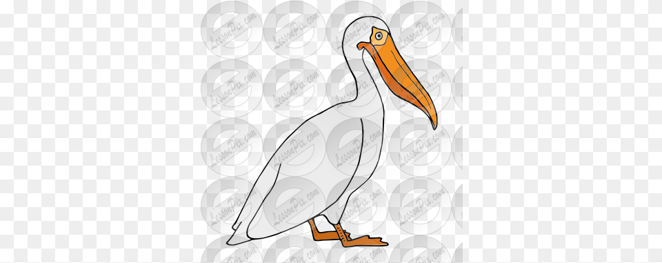 Lessonpix Mobile White Pelican, Animal, Beak, Bird, Waterfowl Free Png Download