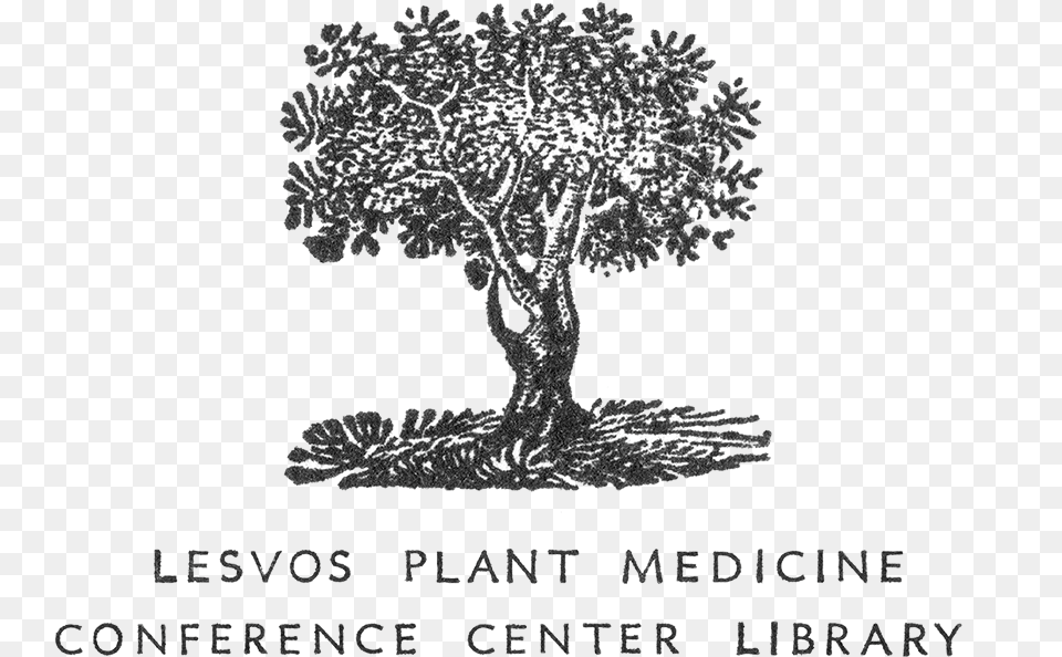 Lesvos Plant Medicine Conferece Center Library Logo, Tree, Art, Drawing, Oak Free Transparent Png