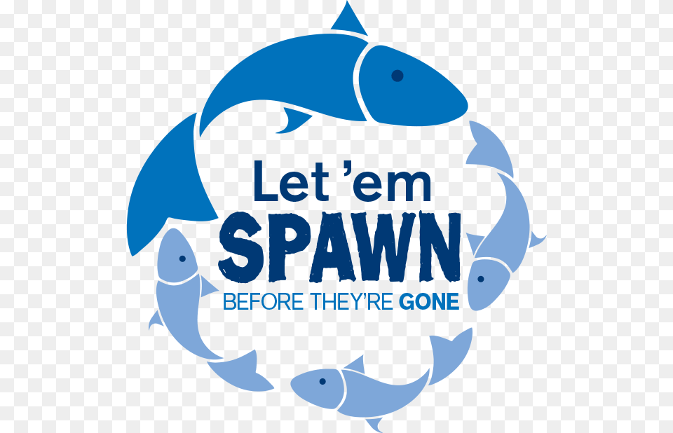 Let 39em Spawn, Animal, Sea Life, Dolphin, Mammal Png