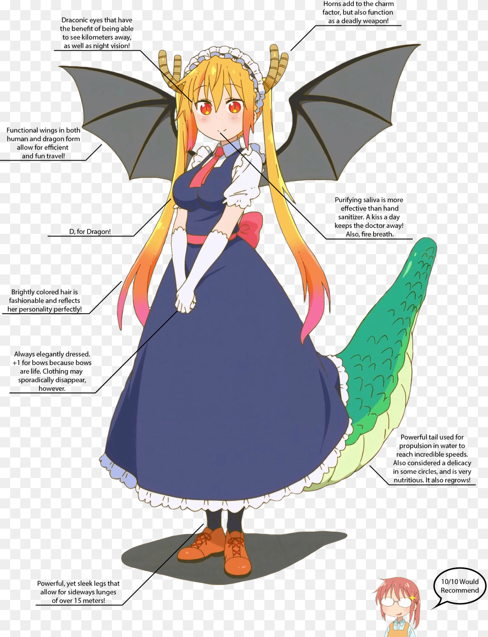 Let S Take A Look At Some Of Her Physical Attributes Flying Dragon Maid Tohru, Book, Publication, Comics, Person Png Image