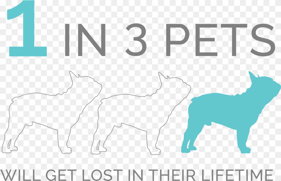 Let That Sink In For A Bit Alaskan Malamute, Silhouette, Animal, Canine, Dog Png Image