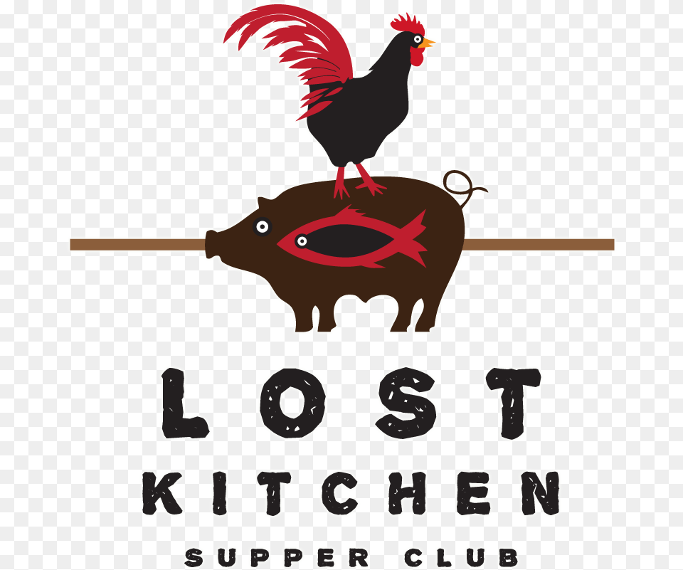 Let Your Culinary Curiosity Lead You Rooster, Animal, Bird, Chicken, Fowl Png
