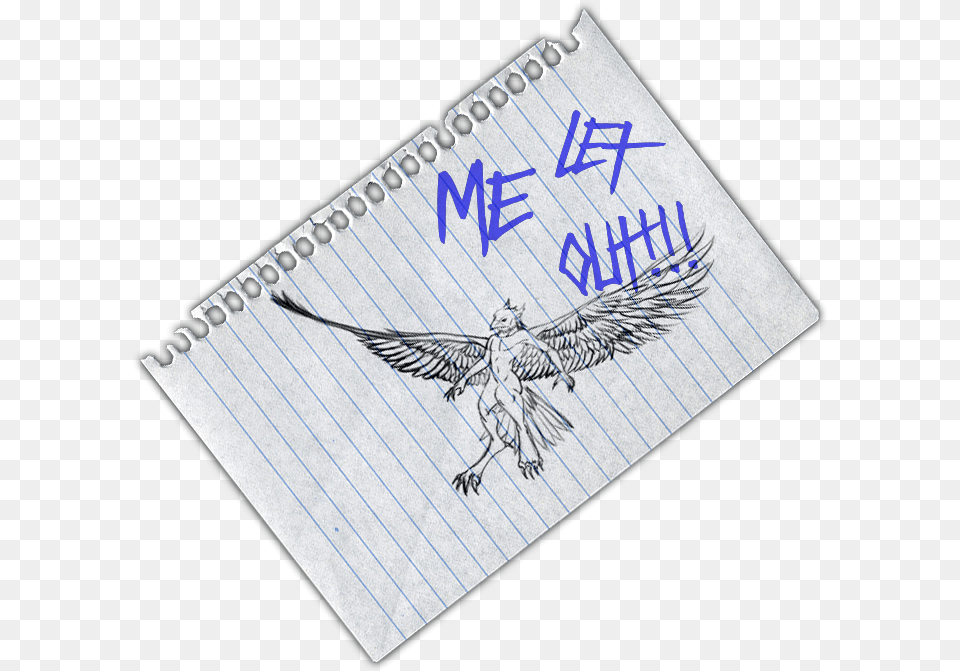 Letmeout Bald Eagle, Page, Text, Baby, Person Free Transparent Png