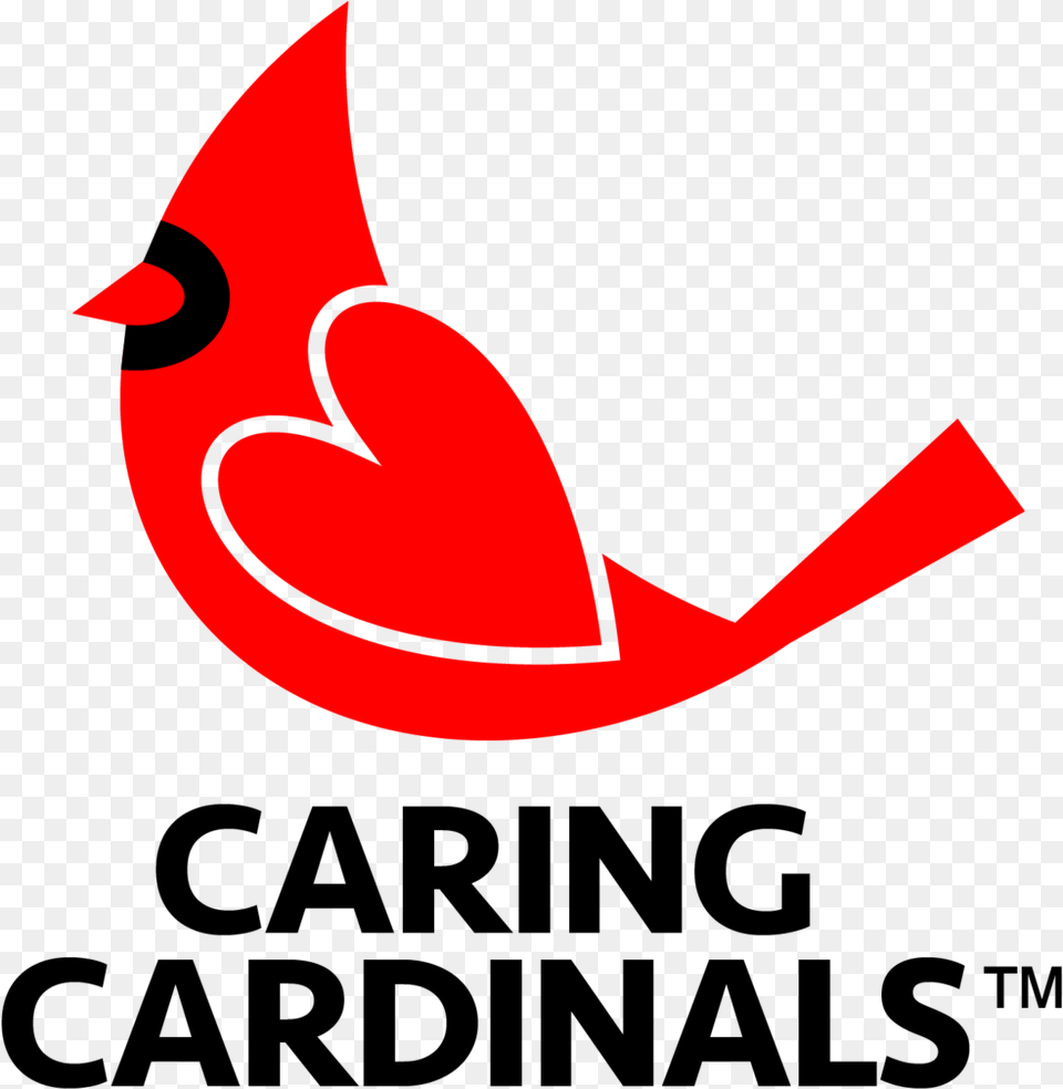 Letquots Go Arizona Cardinals Cardinal, Clothing, Hat, Animal, Bird Png