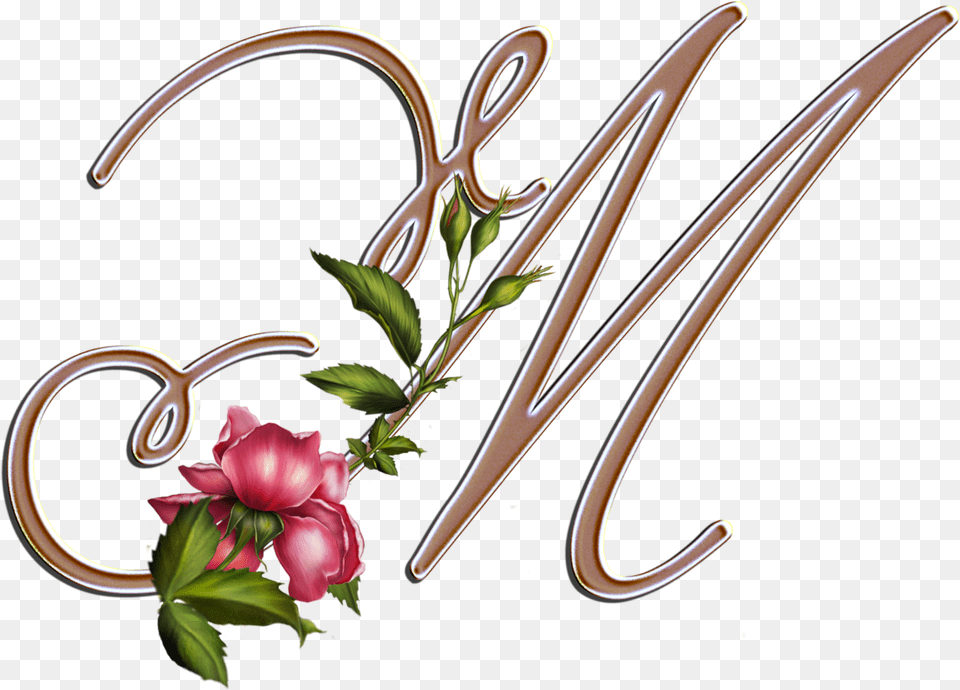 Letra M Con Flores, Art, Rose, Plant, Pattern Png Image