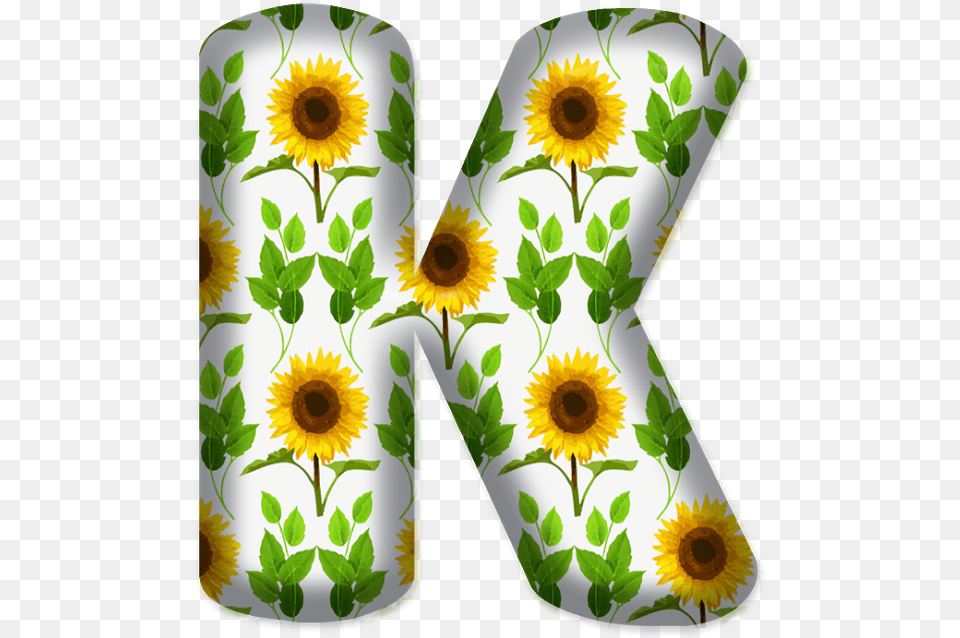 Letras Com Girassol, Daisy, Flower, Plant, Art Free Transparent Png