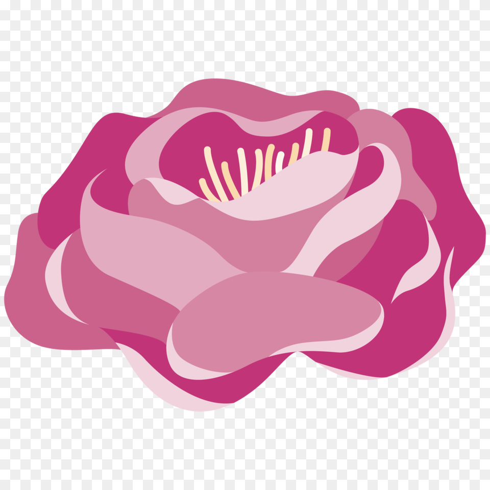 Lets Go To Prom Pronto Farms, Flower, Petal, Plant, Rose Free Png Download